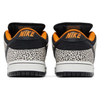 NIKE SB DUNK LOW PRO OLY HOMBRE FZ1233-002